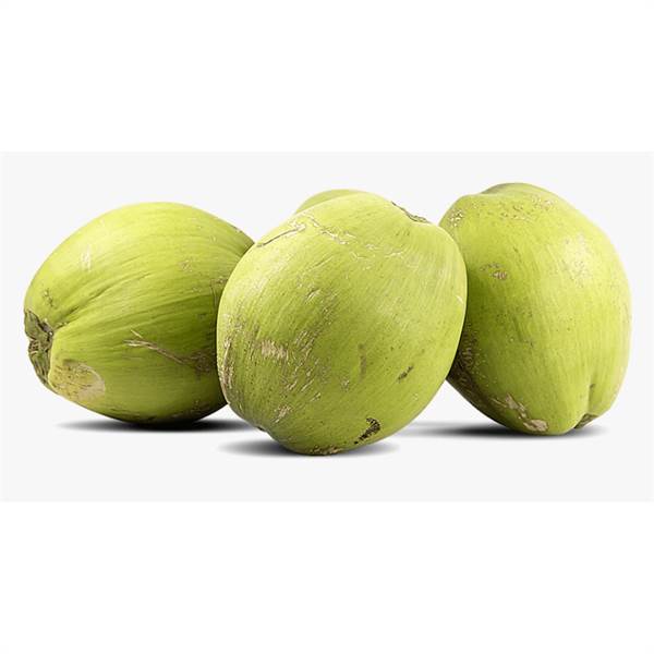 Tender Coconut Fruit